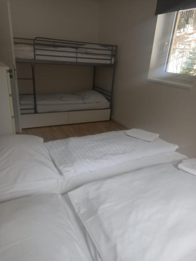 Apartmany Za Sneznikem โดลนี โมราวา ภายนอก รูปภาพ